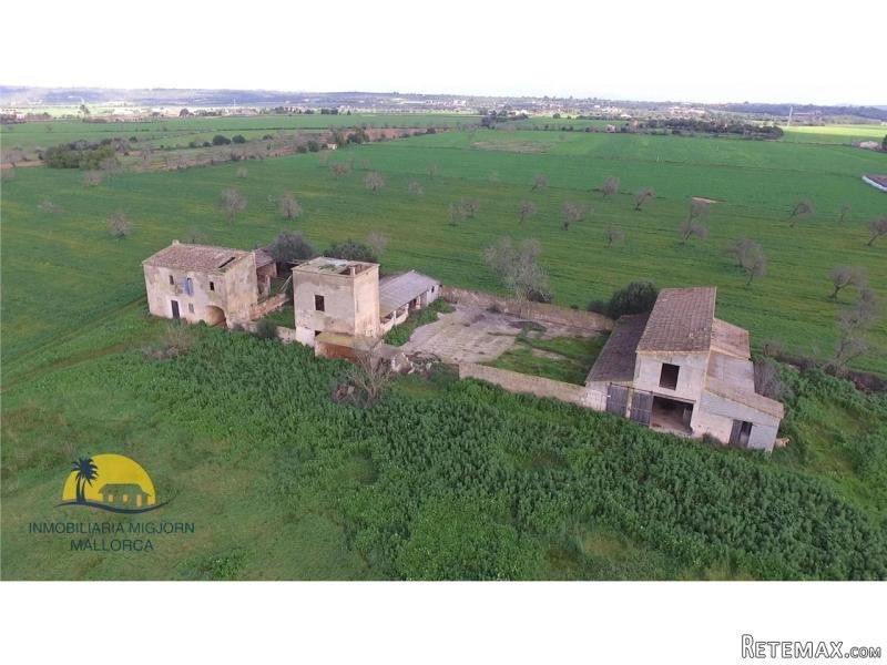 For Sale In Campos