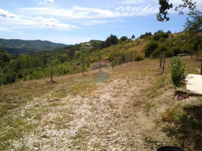 Grimalda, poljoprivredno zemljište 22 800m2 - 2