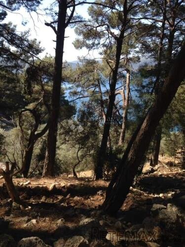 OTOK CRES POLJOPRIOVREDNO ZEMLJIŠTE UZ MORE - 2