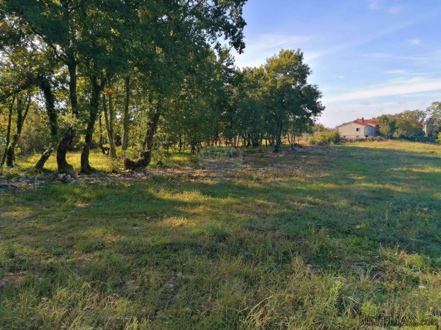 Sveti Lovreč - okolica, građevinsko i poljoprivredno zemljiš - 2
