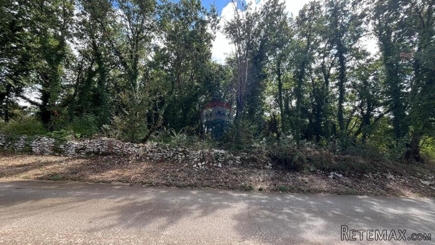 Istra, Kringa- Građevinsko zemljište 1554 m2 - 3