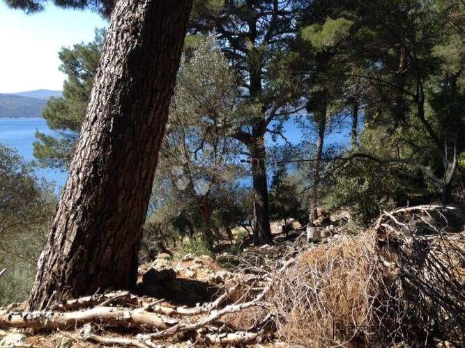 OTOK CRES POLJOPRIOVREDNO ZEMLJIŠTE UZ MORE - 3