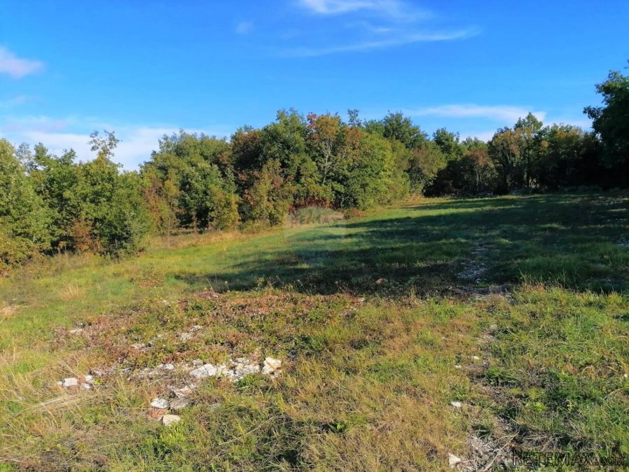 Sveti Lovreč - okolica, građevinsko i poljoprivredno zemljiš - 4