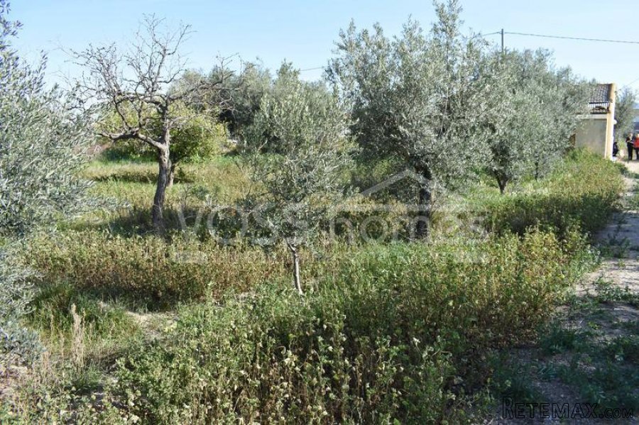 A lovely, Spanish habitable, 2 / 3 bed edge of village /.. - 12