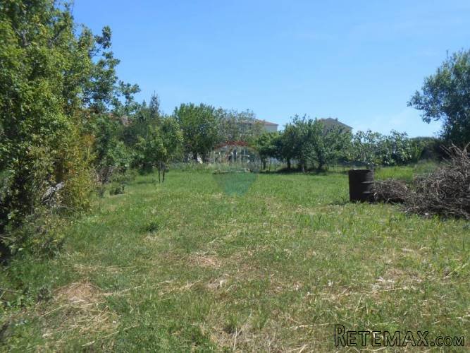 Istra, Premantura, građevinsko zemljište na odličnoj... - 5
