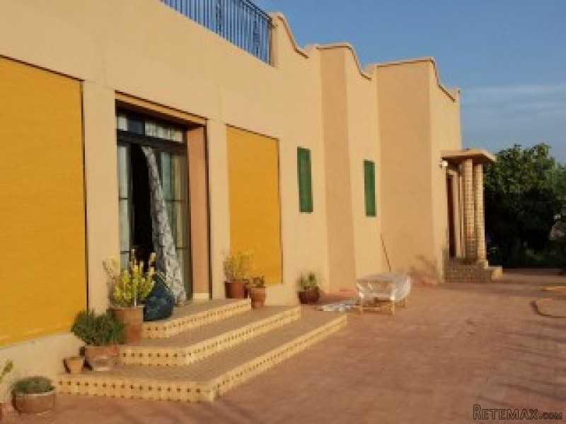 Farm on 1.3Ha Titled Land - house 220m2.. - 2