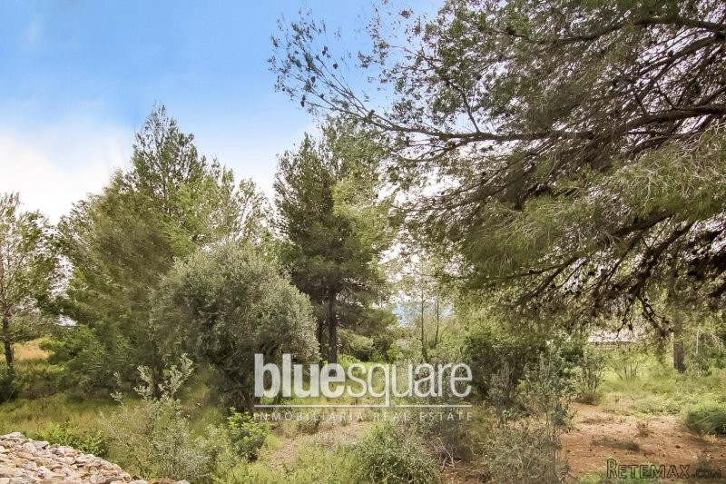 Building Plot Javea Valls