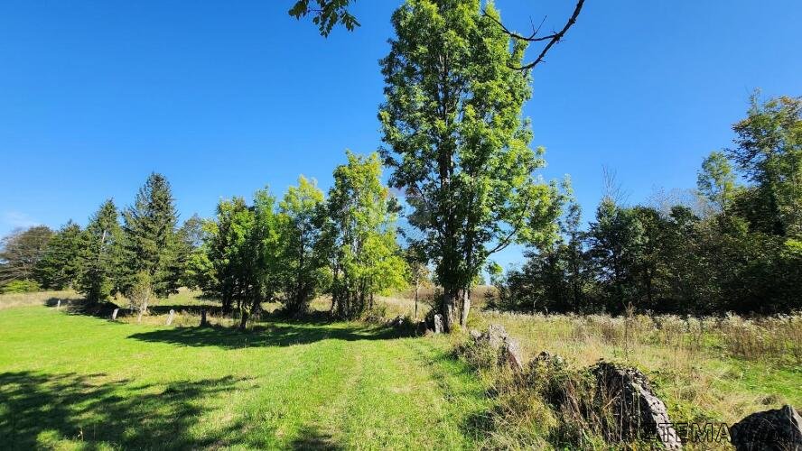 Gorski kotar, Vrbovsko - poljoprivredni teren 5990 m2 - 2