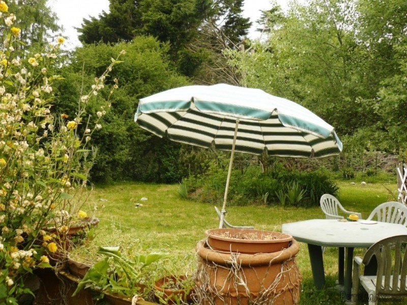 Nice Detahced House with garden