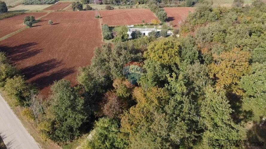 Poreč, lijepa poljoprivredna parcela sa pogledom na more - 3