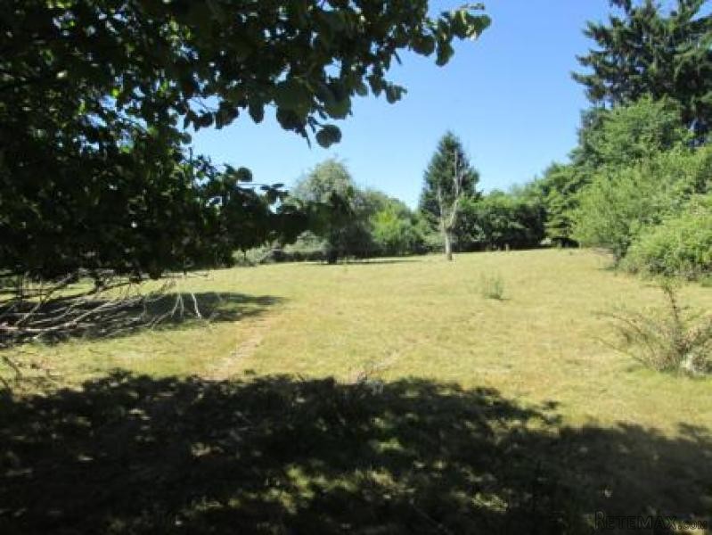 Countryside Barn to Renovate - 2