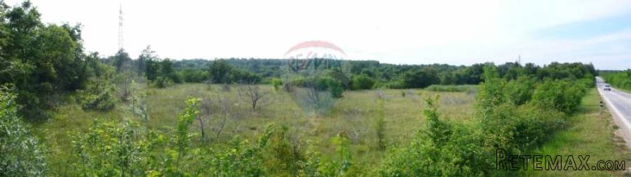 Istra, okolica Vodnjana- zemljište 7941m2 idealno za...