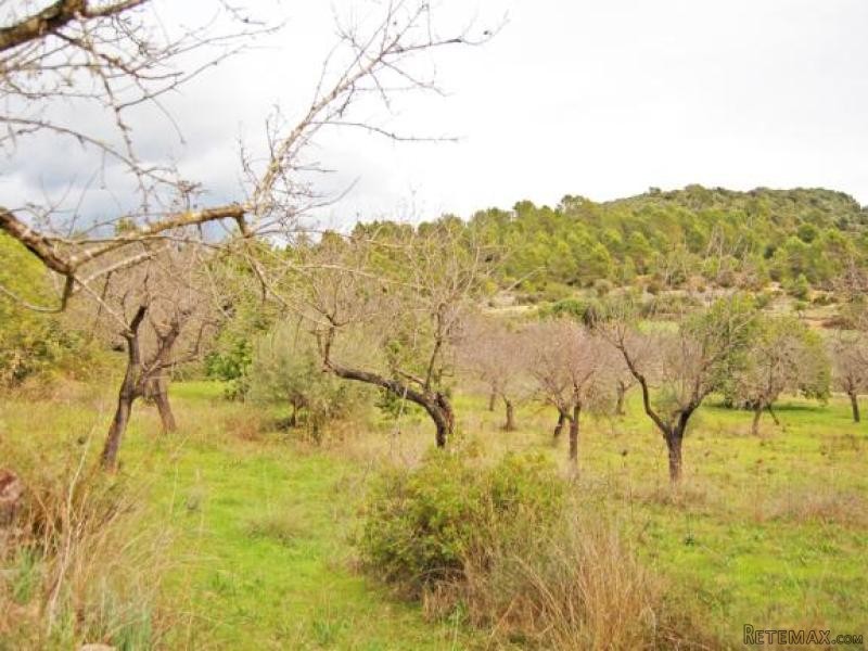 Beautiful Plot In A Privileged Location.. - 2