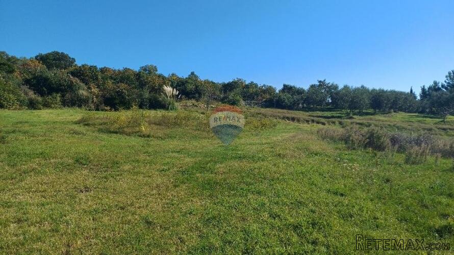 Istra,Pomer-građevinsko zemljište 100m od mora - 2