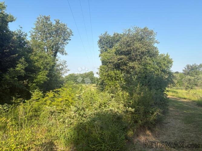 Poljoprivredno zemljište Jurcani 27000 m² -Investicijska pri - 2