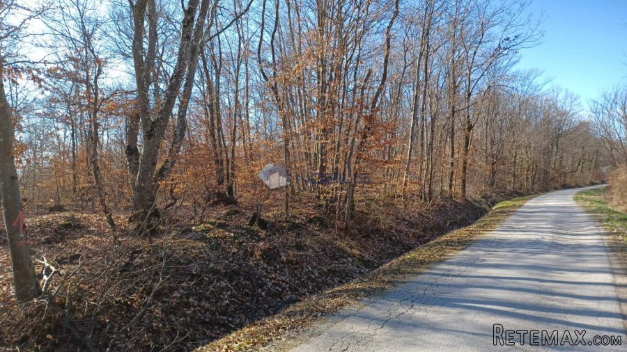 Bukovje, 1900m2 - 3