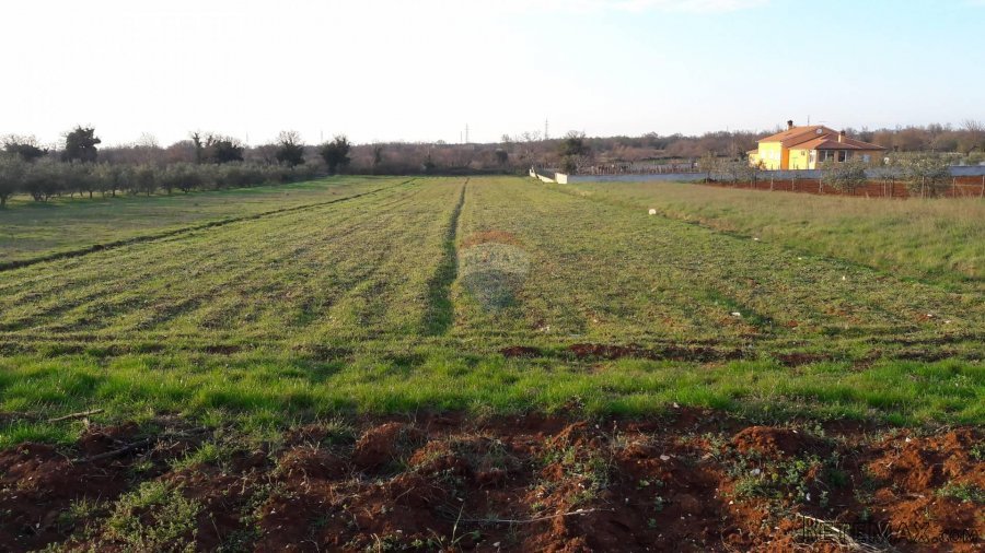 ISTRA,SMOLJANCI,GRAĐEVINSKO ZEMLJIŠTE - 3