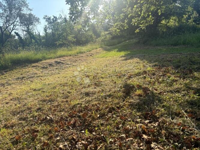 Poljoprivredno zemljište Jurcani 27000 m² -Investicijska pri - 3