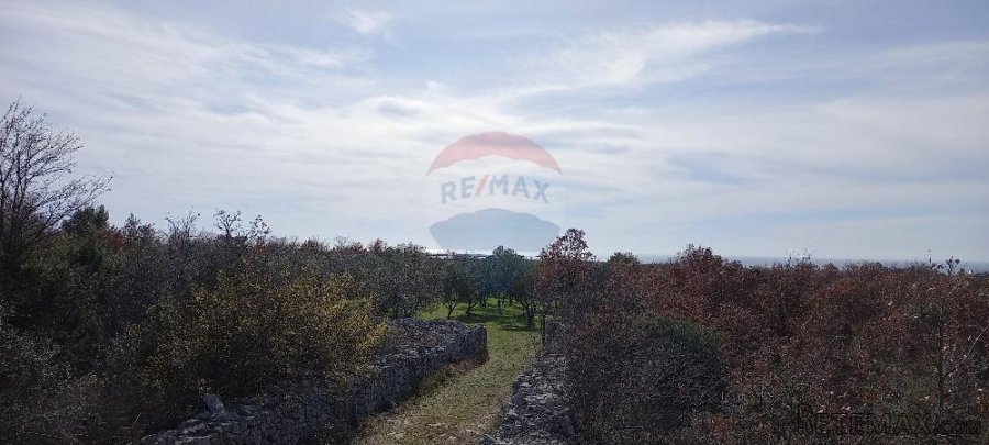 Istra, okolica Vodnjana, maslinik na 2 čestice