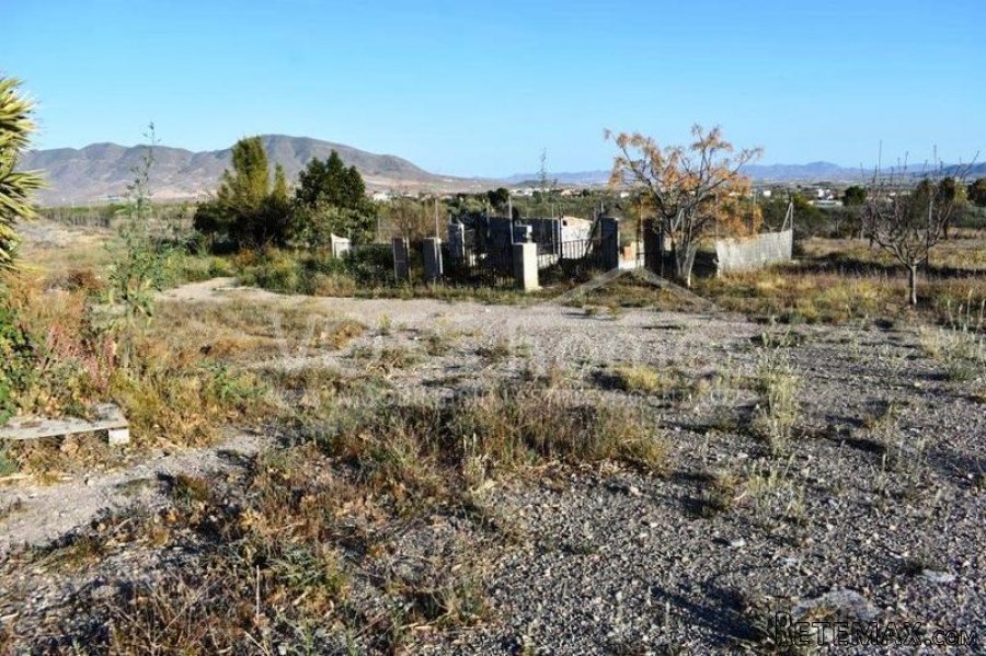 Well maintained, large 180m2 country house with 4 bedrooms.. - 4