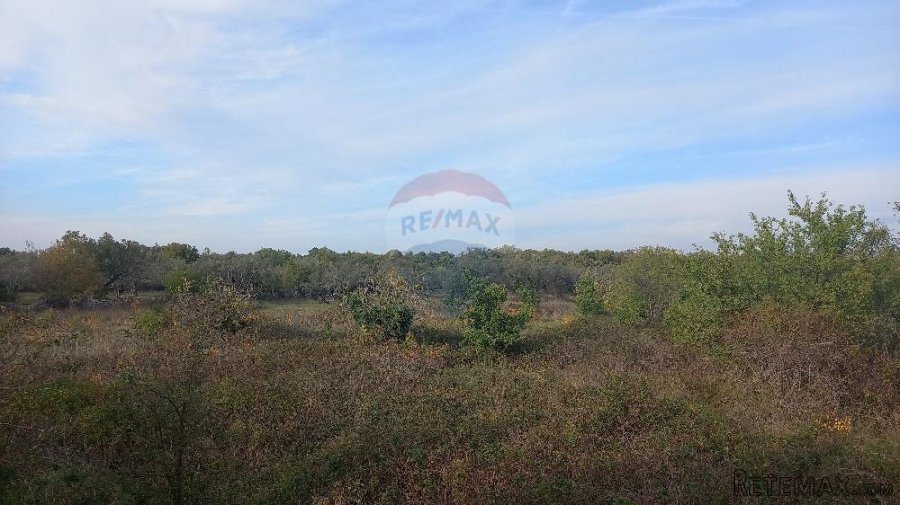 Istra, Fažana okolica, maslinik i parcela - 2