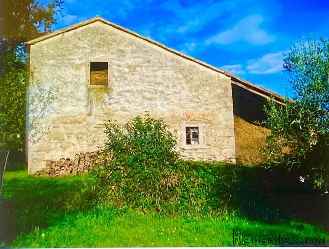 ISTRA - HUM, kuća za obnovu sa zemljištem - 2