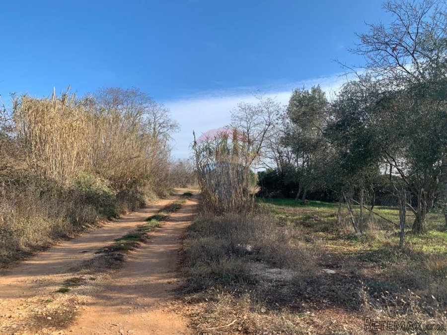 Istra, Poreč, građevinsko zemljište od 1050 m2 na atraktivno - 2