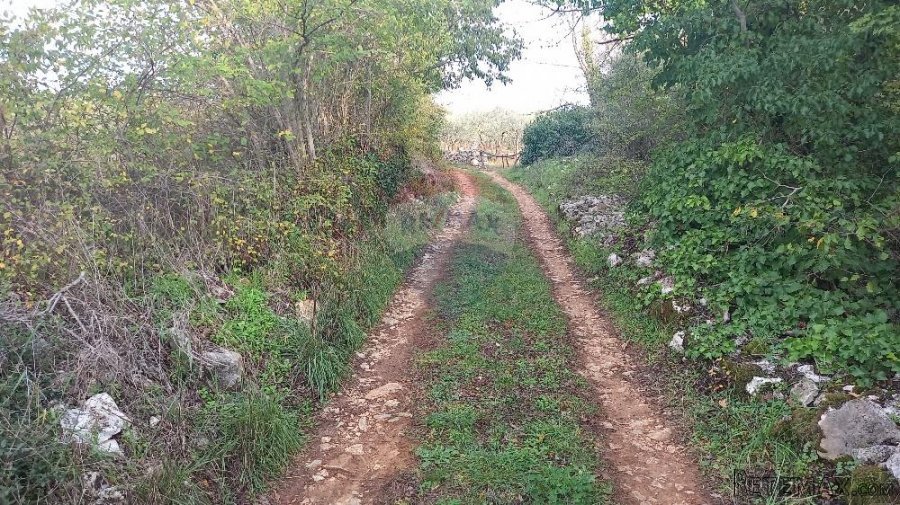 Istra, Fažana okolica, maslinik i parcela - 4