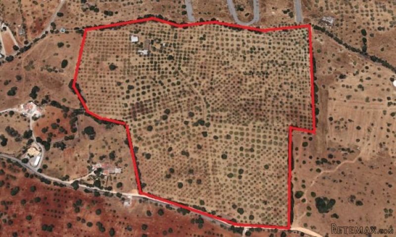 Land - Algarve - For Sale - 2
