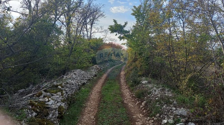 Istra, Fažana okolica, maslinik i parcela - 5