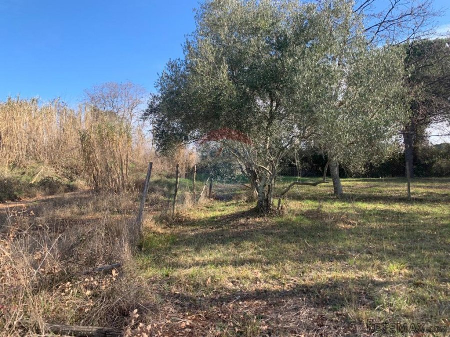 Istra, Poreč, građevinsko zemljište od 1050 m2 na atraktivno - 5
