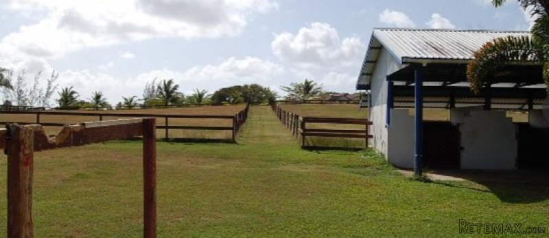 Land for sale - 2