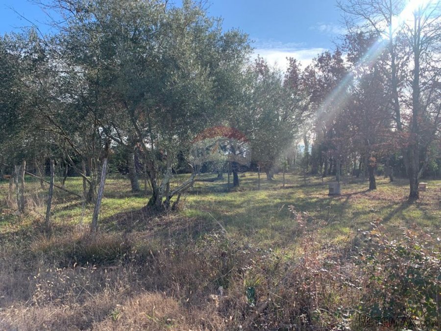 Istra, Poreč, građevinsko zemljište od 1050 m2 na atraktivno - 6