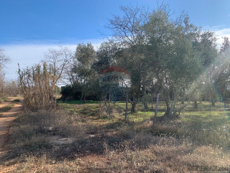 Istra, Poreč, građevinsko zemljište od 1050 m2 na atraktivno - 7