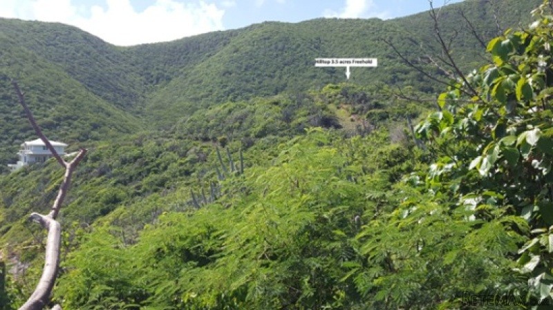 Freehold Hilltop Parcel - 2