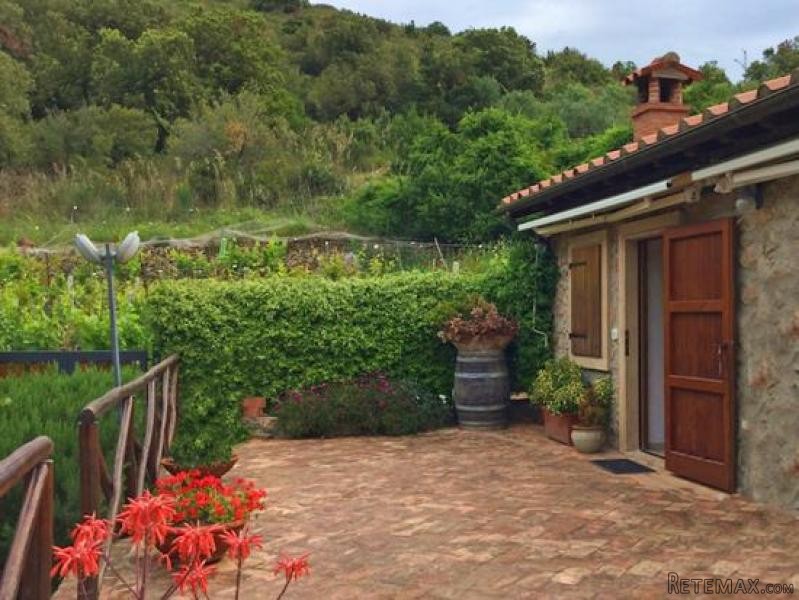 Property - Tuscany - For Sale