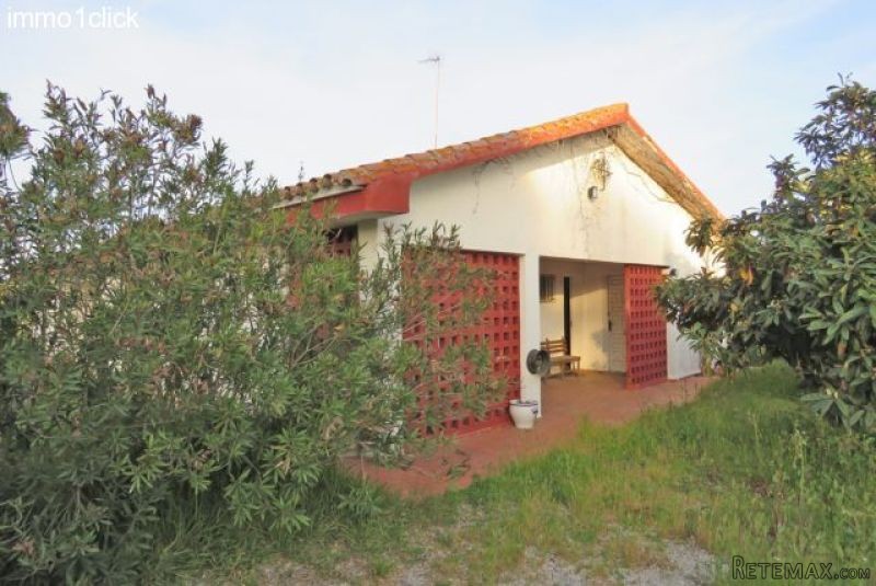 Sevilla: Country horse property, Riding.. - 2