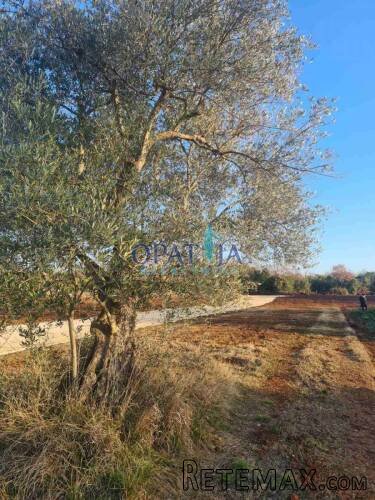 Vodnjan, Peroj zemljište 509 m2 700 m od mora - 3
