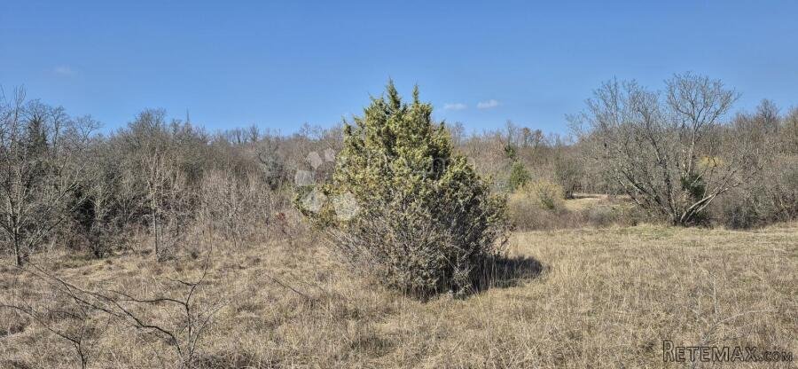 Poljoprivredno zemljište površine 7962 m2