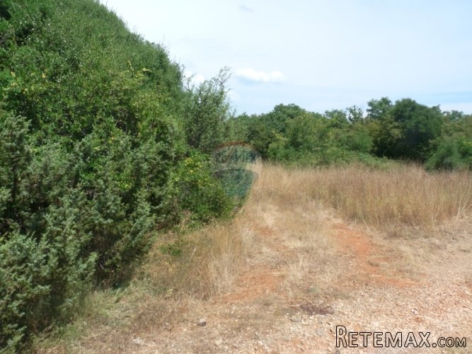 LOBORIKA, poljoprivredna parcela od 5440 m2 - 4