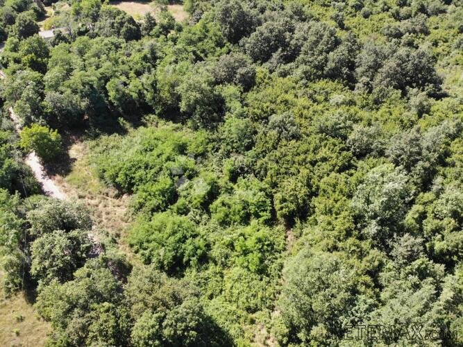 Poreč, prilika za investitore, 3 zemljišta s dozvolama! - 2