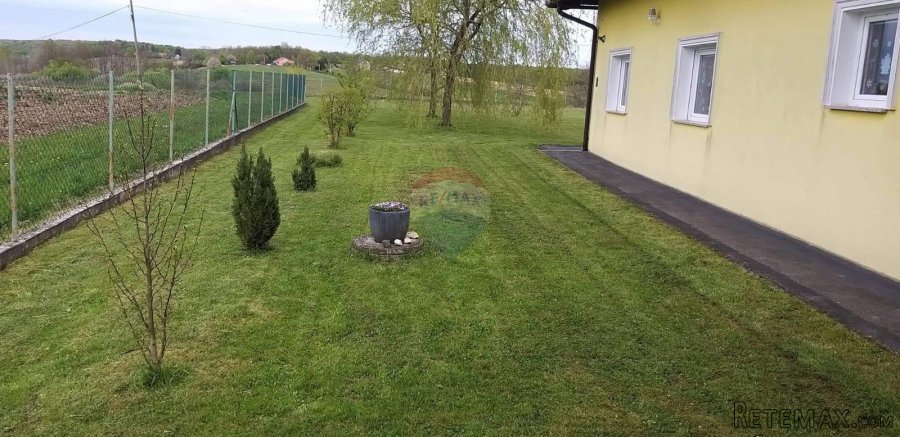 Pisarovina, Bratina, Obiteljska kuća 590m2, okućnica 3868m2, - 4