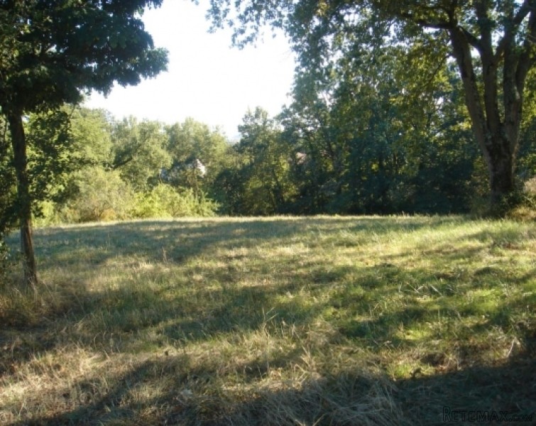 House for restoration with 1.8 hectares.. - 2