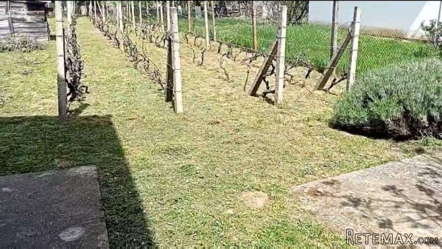 Kuca u vikend naselju Cortanovci - 6