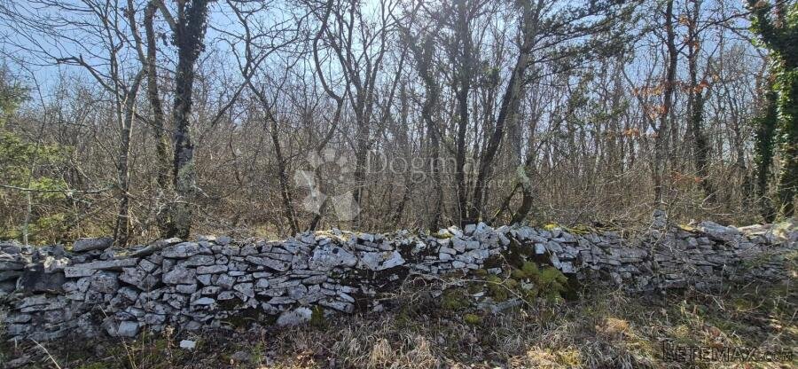 Poljoprivredno zemljište površine 23953 m2 sa ogromnim poten