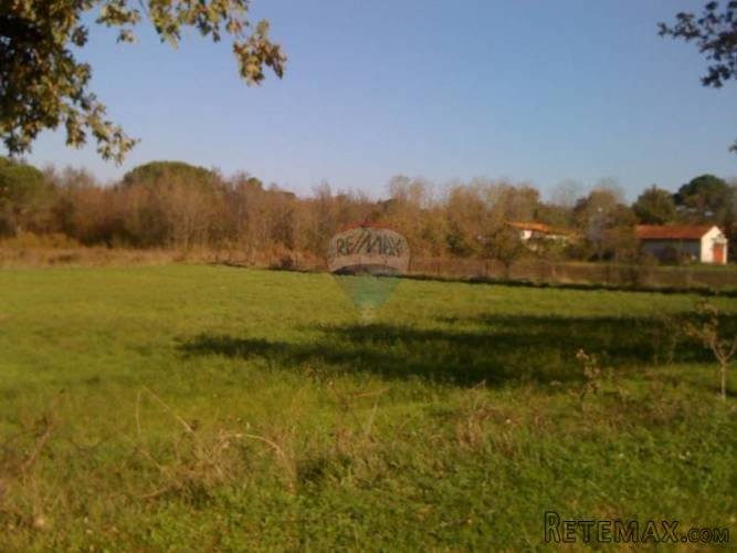 Atraktivno građevinsko zemljište Poreč 1km od mora - 2
