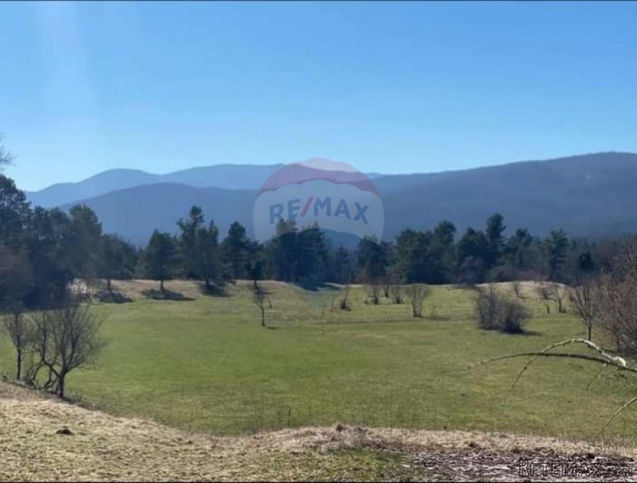 MATULJI, ŠAPJANE - IMANJE - PRILIKA ZA INVESTICIJU - 4