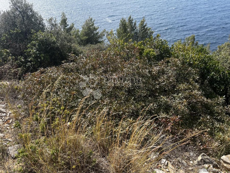 KORČULA, POLJOPRIVREDNO ZEMLJIŠTE VELA LUKA - 3