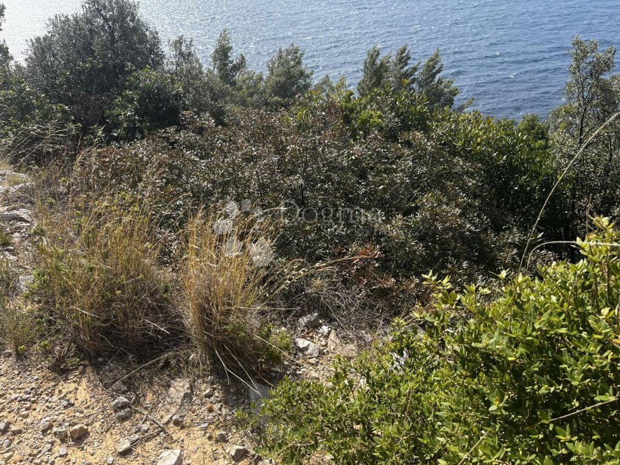 KORČULA, POLJOPRIVREDNO ZEMLJIŠTE VELA LUKA - 4