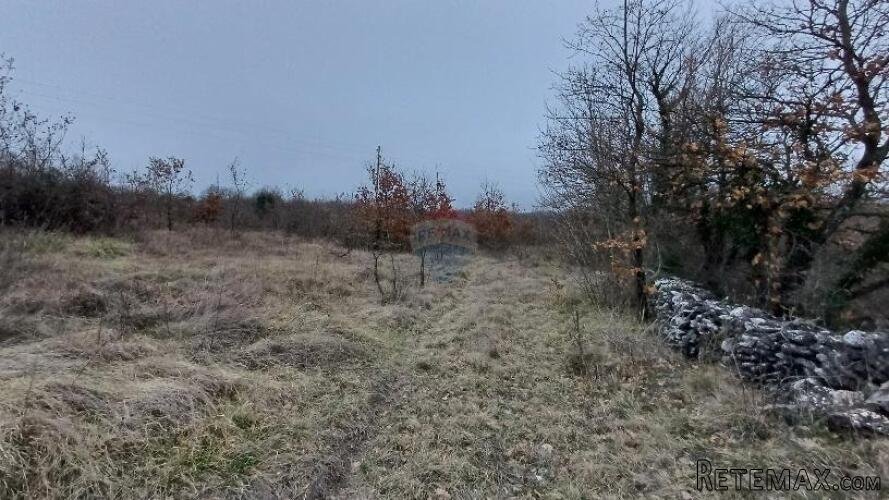 Istra,Orbanići-veliko poljoprivredno zemljište za OPG - 2